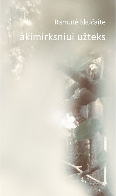 Akimirksniui užteks