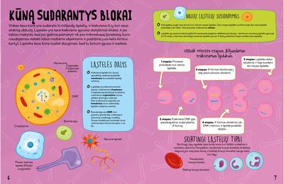 Žmogaus kūnas: veiklos knyga su lipdukais