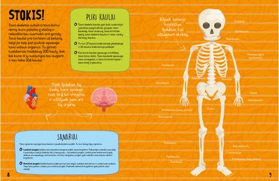 Žmogaus kūnas: veiklos knyga su lipdukais