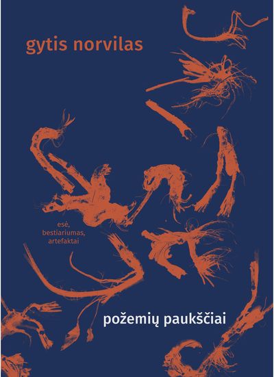 Požemių paukščiai