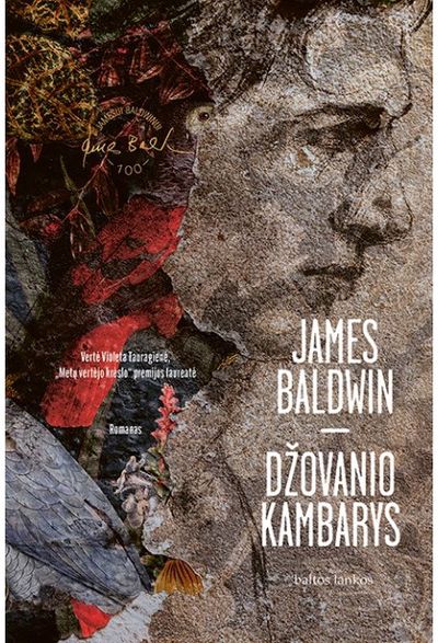 Džovanio kambarys