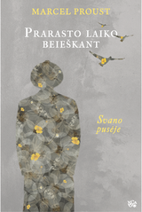 Prarasto laiko beieškant. Svano pusėje