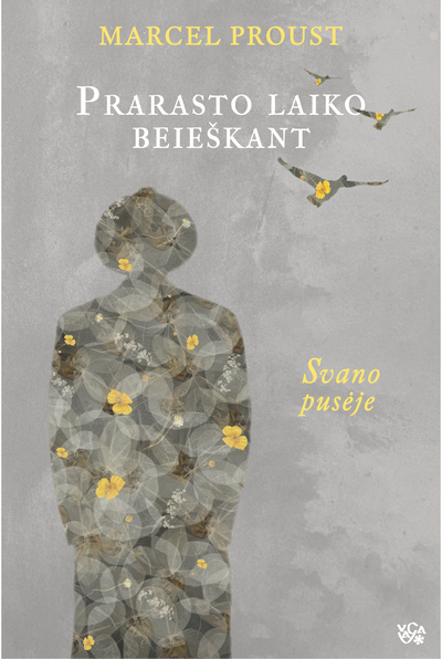 Prarasto laiko beieškant. Svano pusėje