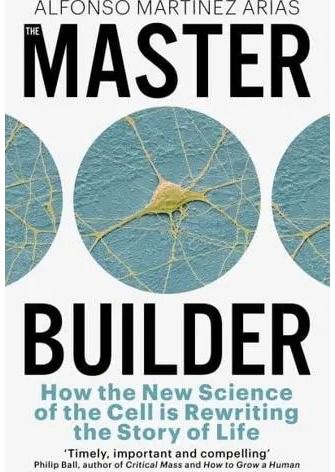 The Master Builder
