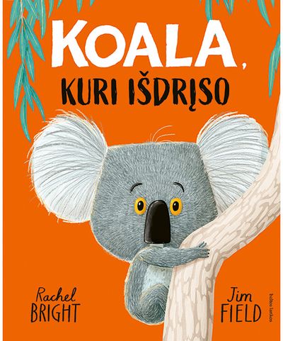 Koala, kuri išdrįso