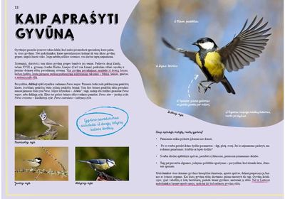 Lietuvos gyvūnų didžioji knyga
