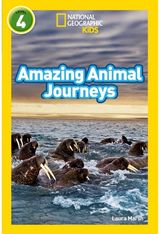 Amazing Animal Level 4