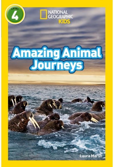 Amazing Animal Level 4