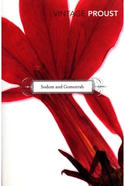 In Search of Lost Sodom and Gomorrah