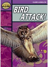 Rapid Reading: Bird