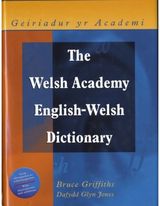 Welsh Academy