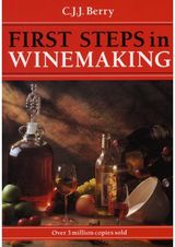 First Steps in