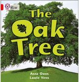 Oak Tree Band 02b/Red B