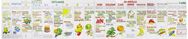 Vitamin Chart