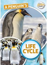 Penguin's Life Cycle