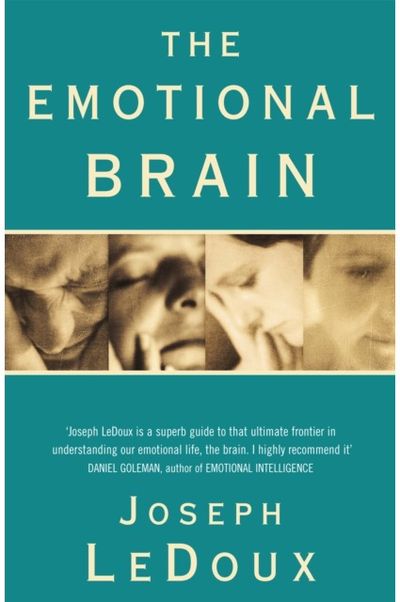Emotional Brain