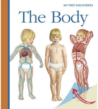 Body