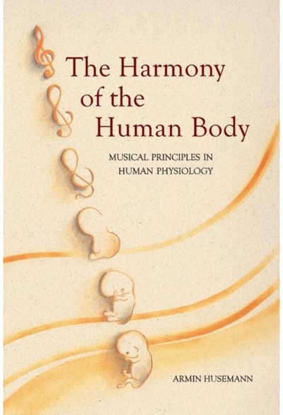 Harmony of the Human Body Musical Principles