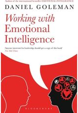 Working with Emotional Intelligence