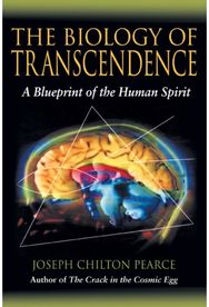 Biology of Transcendence: A Blueprint of the Human Spirit A Blueprint of the Human Spirit