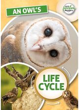 Owl's Life Cycle