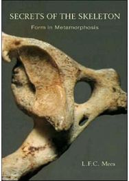 Secrets of the Skeleton Form in