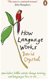How Language Works