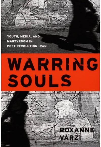Warring Souls Youth, Media, and