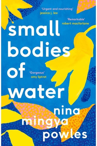 Small Bodies of