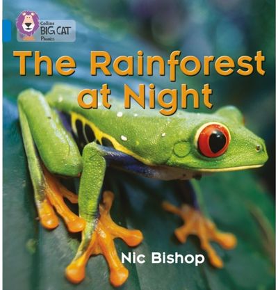 Rainforest at Night Band 04/Blue