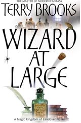 Wizard At Large Magic Kingdom of