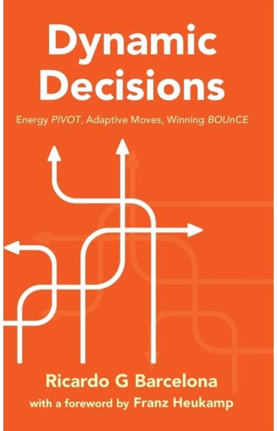 Dynamic Decisions:
