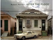 Robert Polidori After the Flood