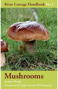 Mushrooms