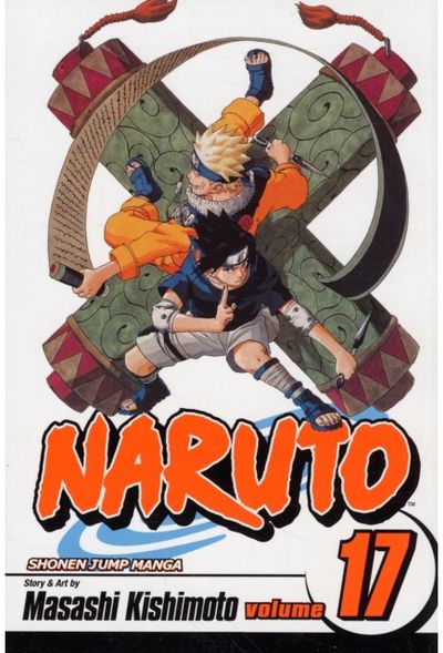 Naruto, Vol. 17