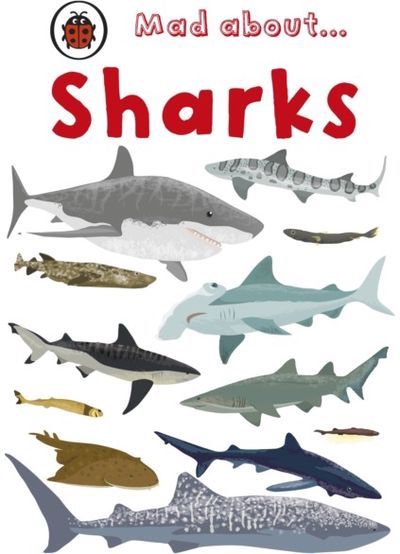 Mad About Sharks