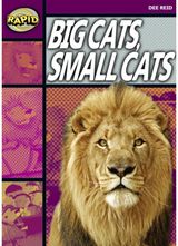 Rapid Reading: Big