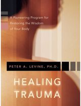 Healing Trauma A Pioneering Program