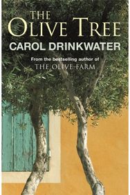 Olive Tree of Provence