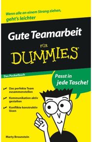 Gute Teamarbeit fur Dummies
