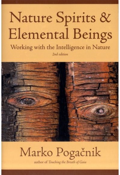 Nature Spirits & Elemental Beings Working with the