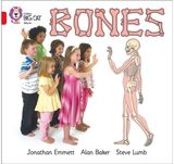 Bones Band 02b/Red B