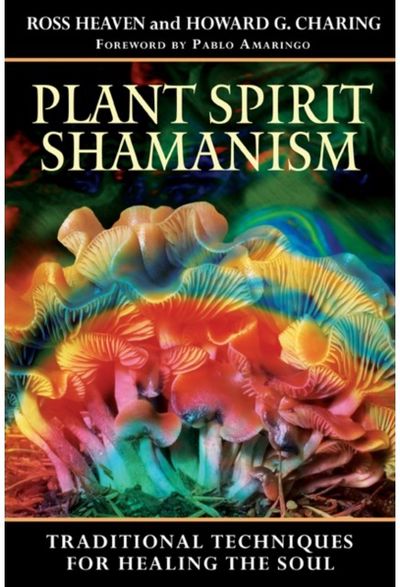 Plant Spirit Shamanism: Traditional Techniques for Healing the Soul