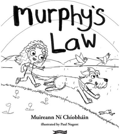 Murphy's Law