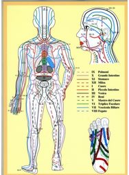 Masunaga Zen Shiatsu Ketsu -- A4: Zen Shiatsu Ketsu Zen Shiatsu Ketsu