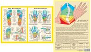 Hand & Foot Reflexology -- A4