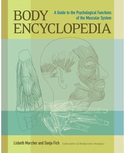 Body Encyclopedia A Guide to the