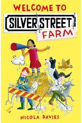 Welcome to Silver Street Farm