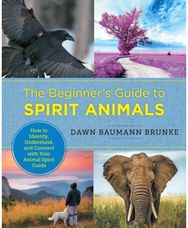 Beginners Guide to Spirit Animals: How to Identify, Understand, and Connect with Your Animal Spirit Guide Understand, and Connect with Your Animal Spirit Guide