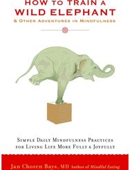 How to Train a Wild Elephant: And Other Adventures in Mindfulness And Other Adventures in Mindfulness